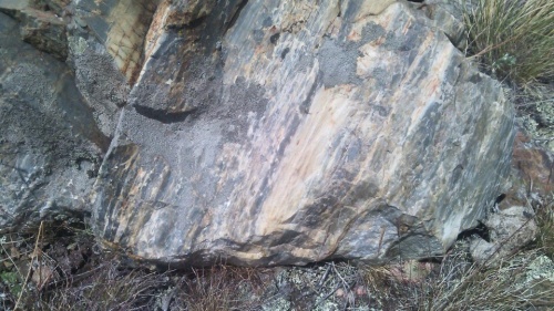 Гигантские зелёные валуны для ландшафтного дизайна весом более 5 тонн купить в Верхней Пышме