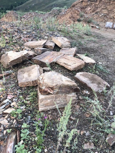 Плитняк кора дерева 50-100мм для пошаговых дорожек купить в Верхней Пышме